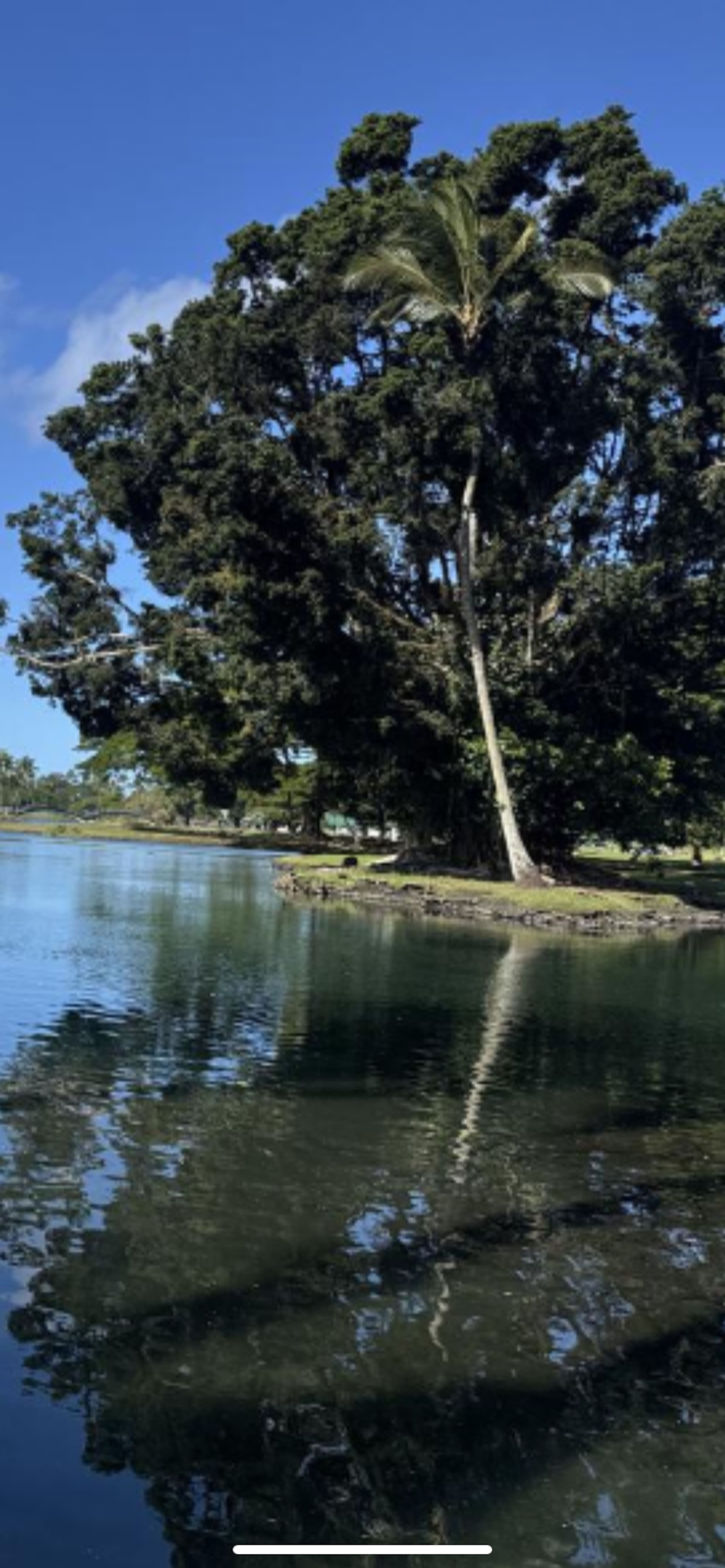 Cozy and convenient AC apartment located in Hilo - Image 40