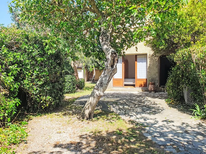 Résidence Les Figuiers Fleurs By Interhome - Six-Fours-les-Plages