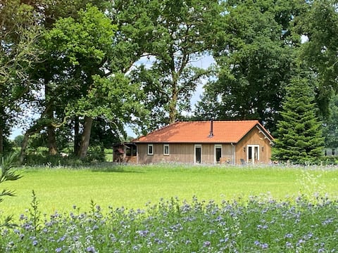 Popular Airbnb listing: 't Sprokkeltje , peace , nature and cozy stay. in Otterlo