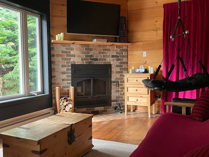 Indoor fireplace, swing, TV