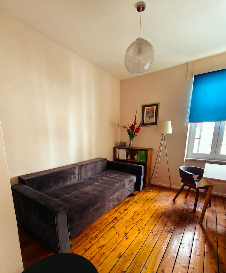 Cozy 1br·15min Tram To Center/eu-lisa & 10min Uni - Estrasburgo