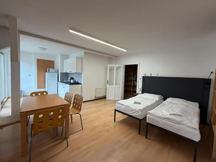 Elegant 1b Apartment - Praha