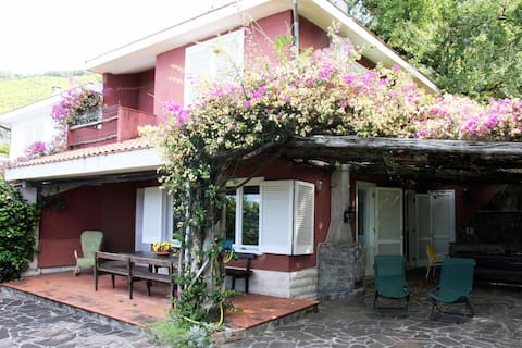Proprietà Airbnb di successo: Villa Rosa, fantastic sea view, Marina Maratea a Maratea