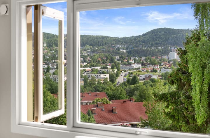 Nærhet Til Storbyen - Oslo