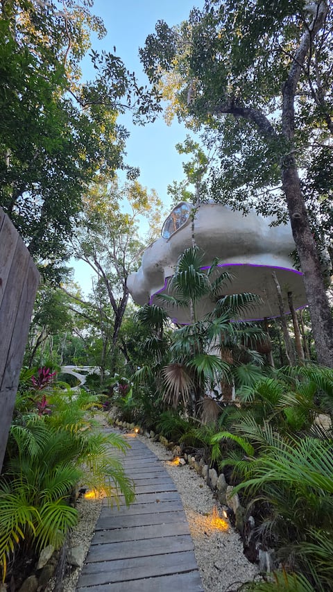 Mumbao TULUM- mushroom retreat
