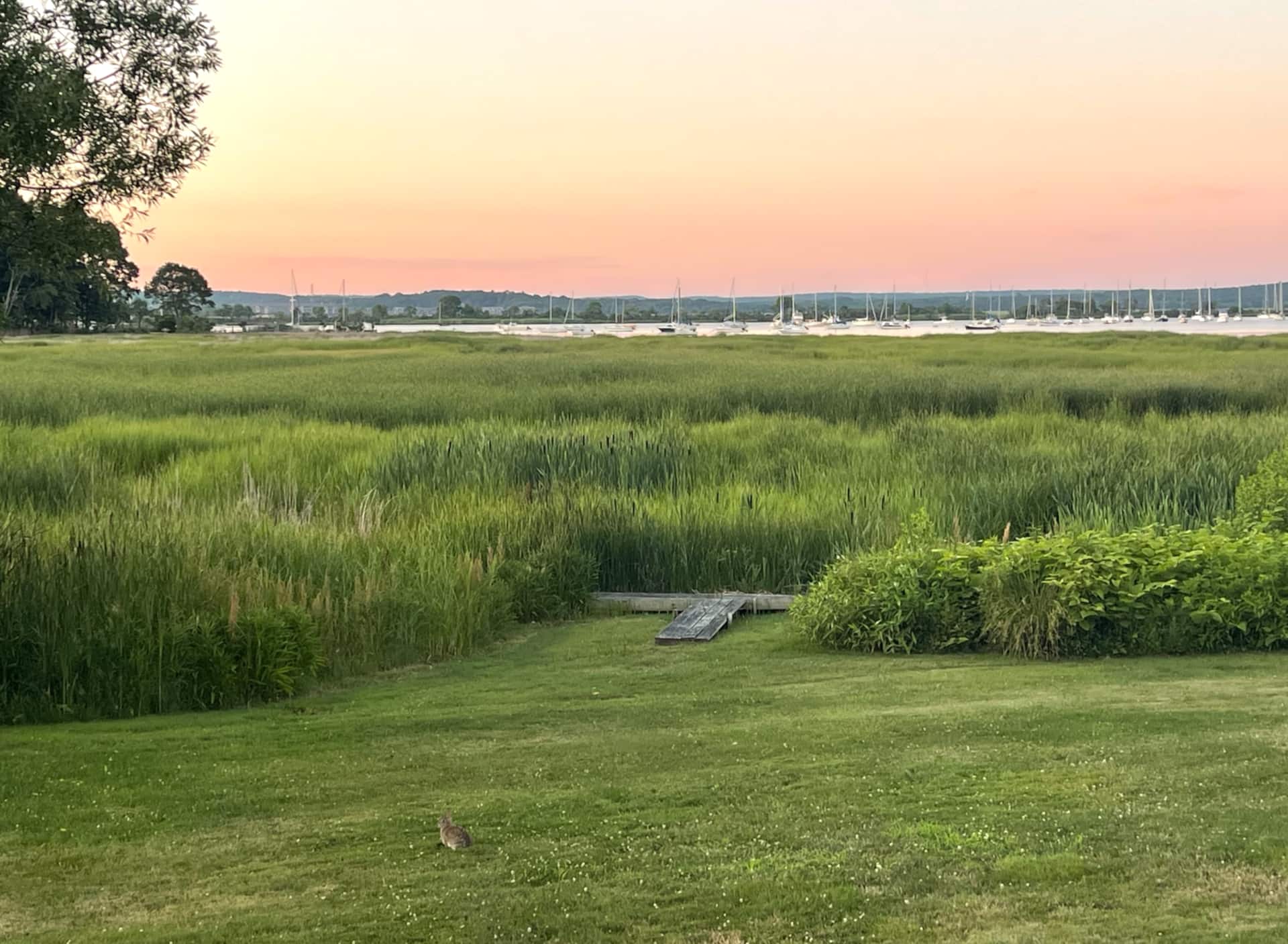 Shoreline Cottage with Waterview