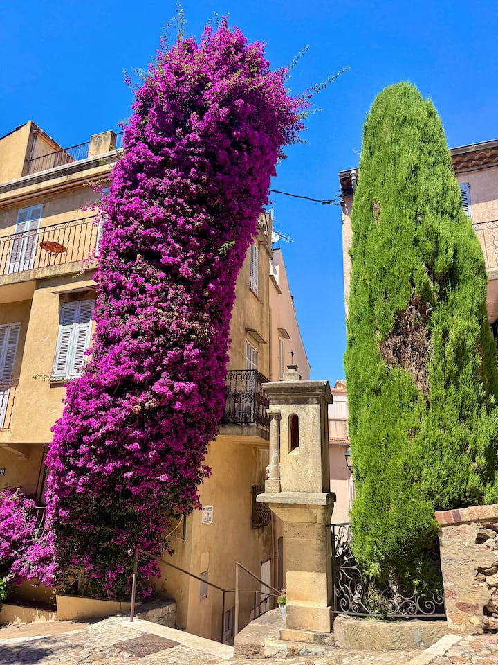 Newly Renovated Studio  Heart Of Le Suquet - Cannes
