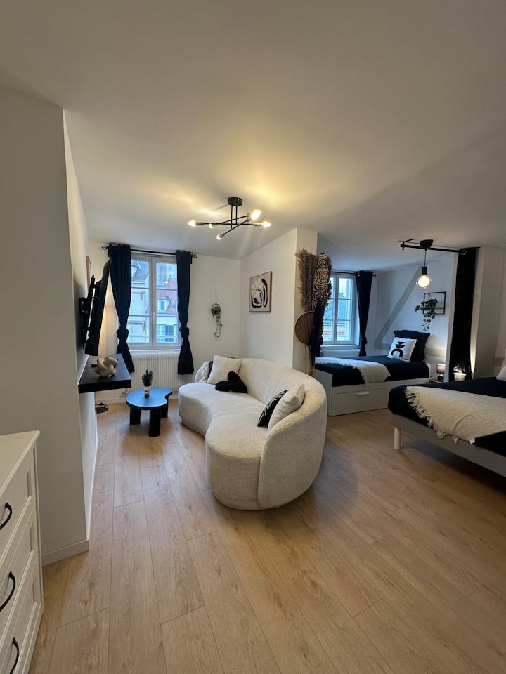 Duochic En Duplex|coeur De Ville|2 Parkings Inclus - Chartres