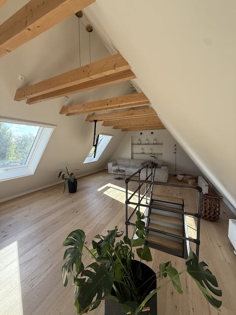 Successful Airbnb property: Holiday home on the Elbe dike in Dithmarschen
