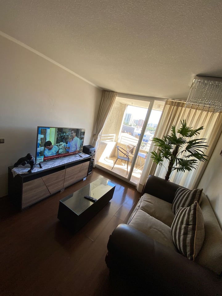Lindo Departamento En Viña Del Mar - 