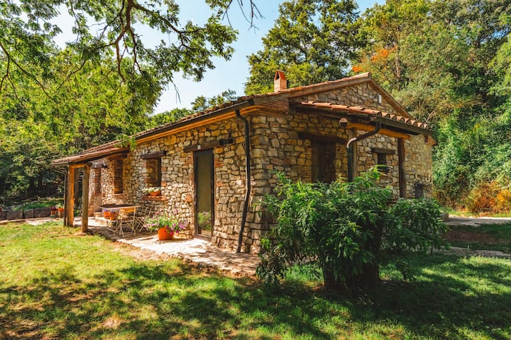 Twin Room • Private Bathroom • Tuscan Farm Stay - Santa Fiora