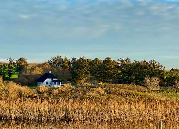 Fisherman's House From 1856 By National Park Thy - Krik