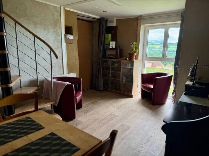 Duplex Dans Maison Pisé 12min Lac De Charavines - Lac de Paladru