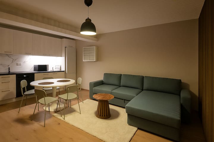 Newly Renovated Elegant Studio Next To Messe - Basel