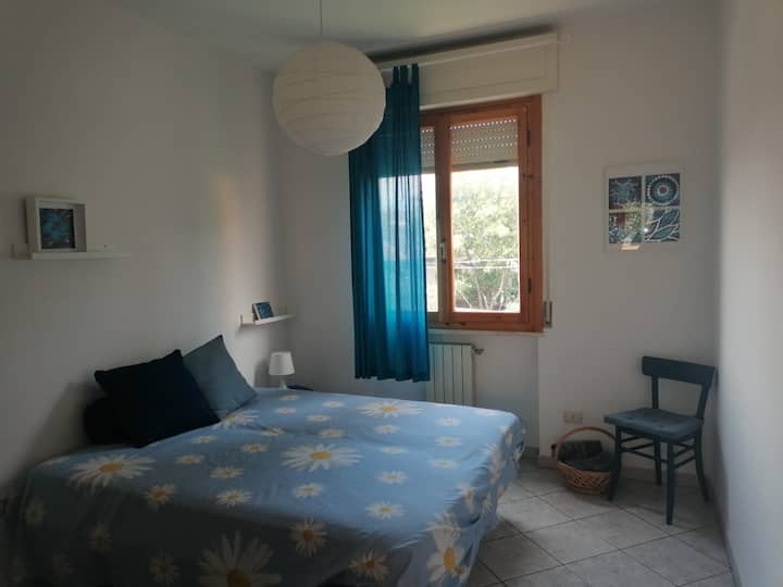 La Casa Della Nonna Vanda - Rosignano Marittimo