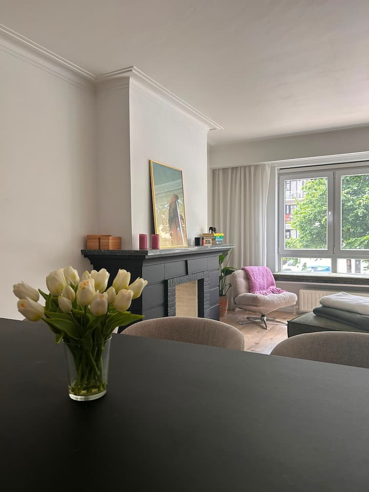 Ruim Lichtrijk Appartement Vlakbij Centrum Gent - Gent