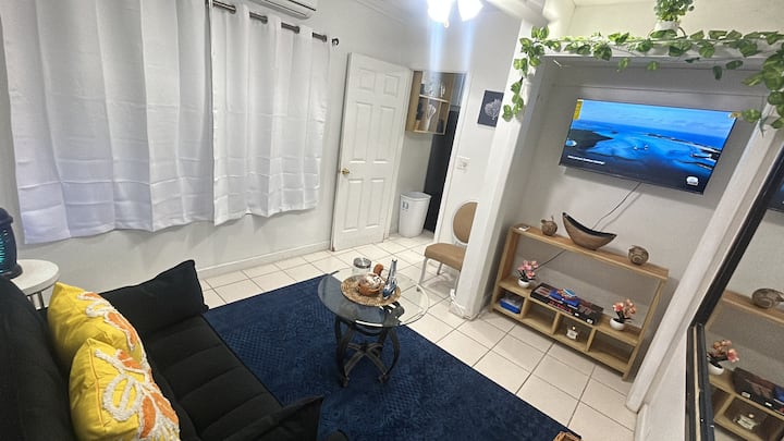 Cozy 1 Bedroom Apt Studio/ Shared Pool & Property - Nassau