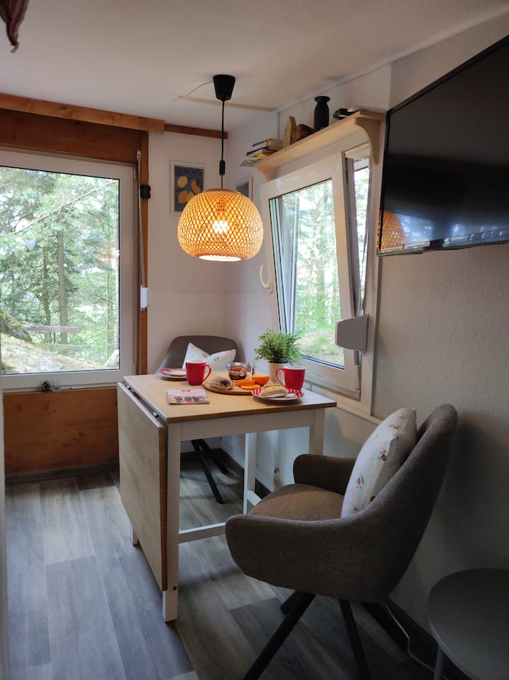 Kleine Waldhütte Mit Fernblick U. Sauna - Sächsische Schweiz-Osterzgebirge