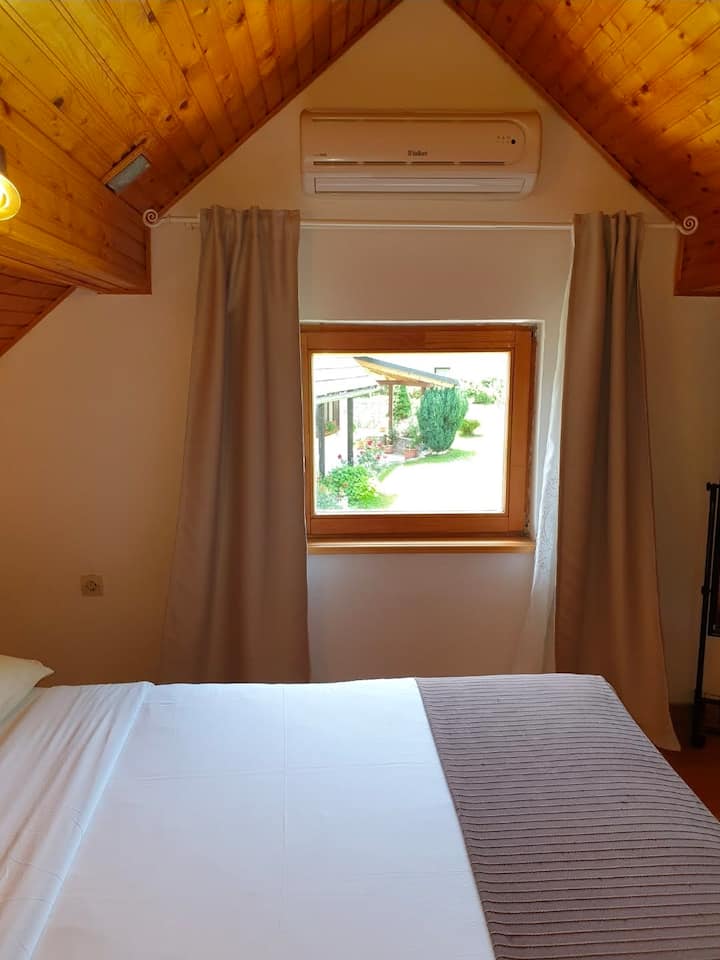 Habitación 1