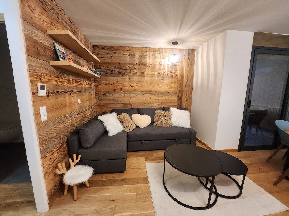 Top Airbnb: One-bedroom apartment – 46 m² – Châtel center – Double garage – Mountain view à Châtel