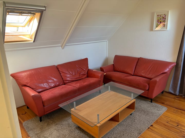 Zolderappartement - Wageningen