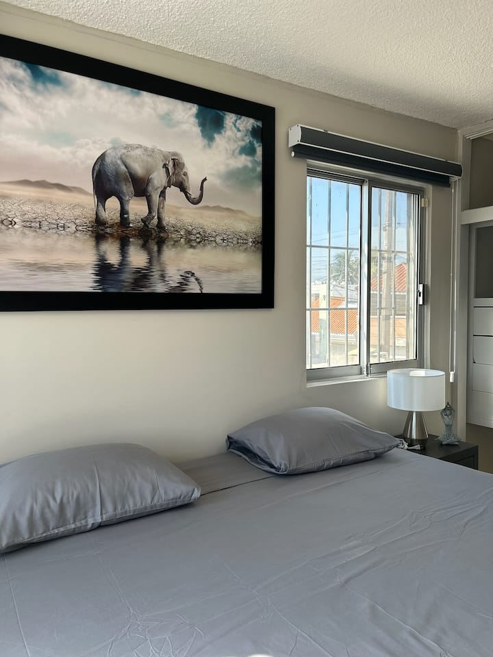 Habitación 1