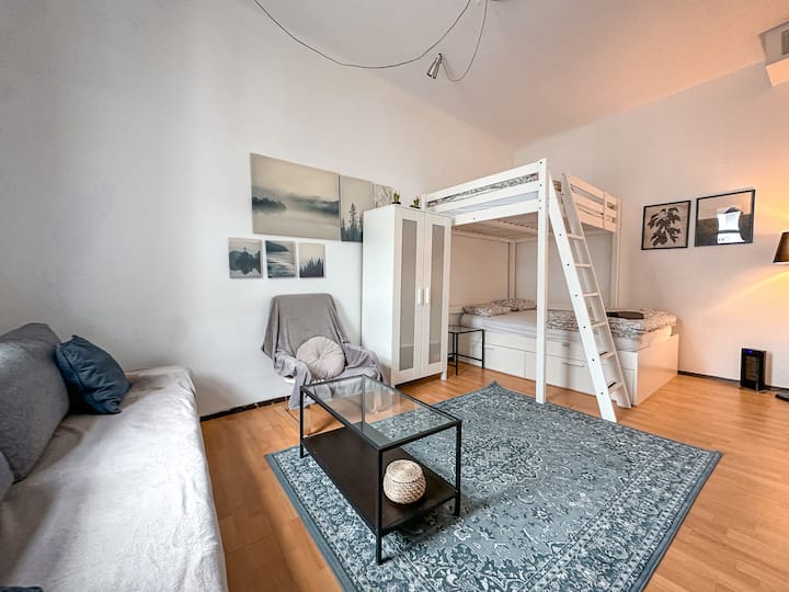 Great Studio For Short Stay - Vienne