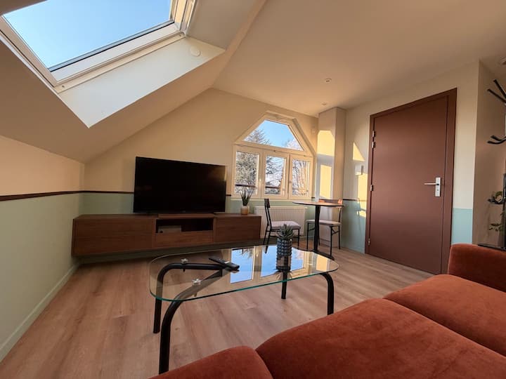 Suite Spa Bien êTre - Fegersheim