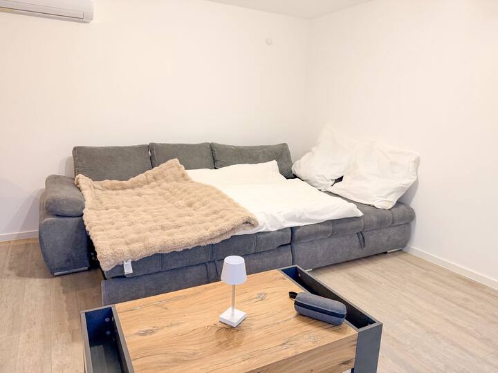 Modernes Einfamilienhaus Direkt Am Rhein - Karlsruhe