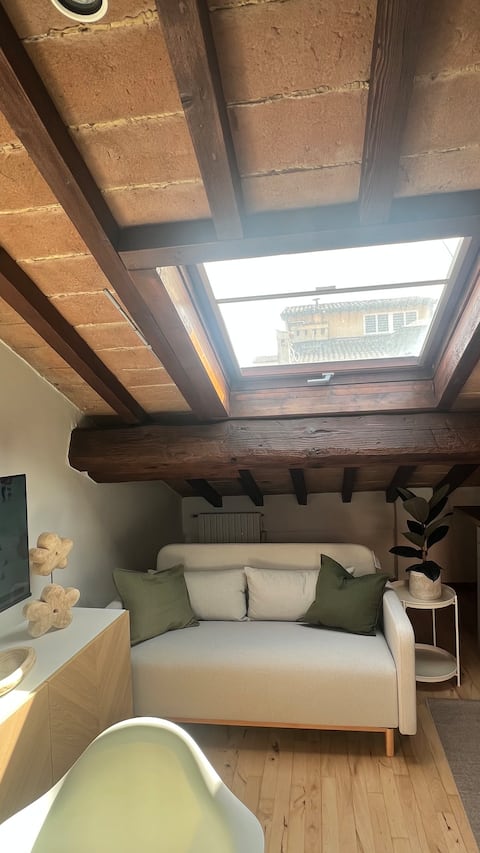 Popular Airbnb listing: Magical attic with terrace overlooking the rooftops of Modena in Modena