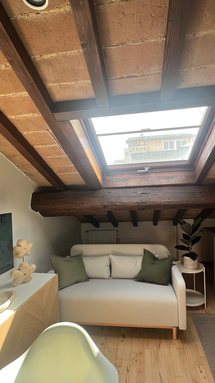 Magica Mansarda Con Terrazza Sui Tetti Di Modena - Modena