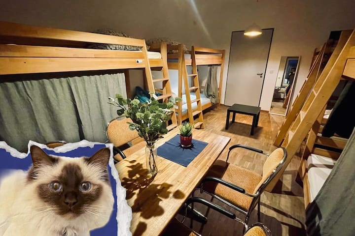 Bed In 8-bed Mixed Dormitory + Breakfast (B) - Francfort-sur-le-Main