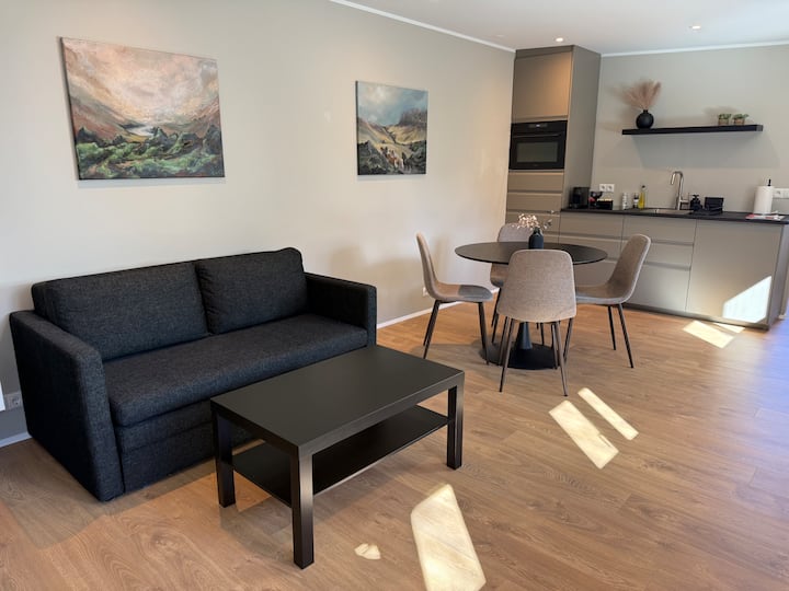 Wonderful Studio Apartment In Central Reykjavík - Reykjavík