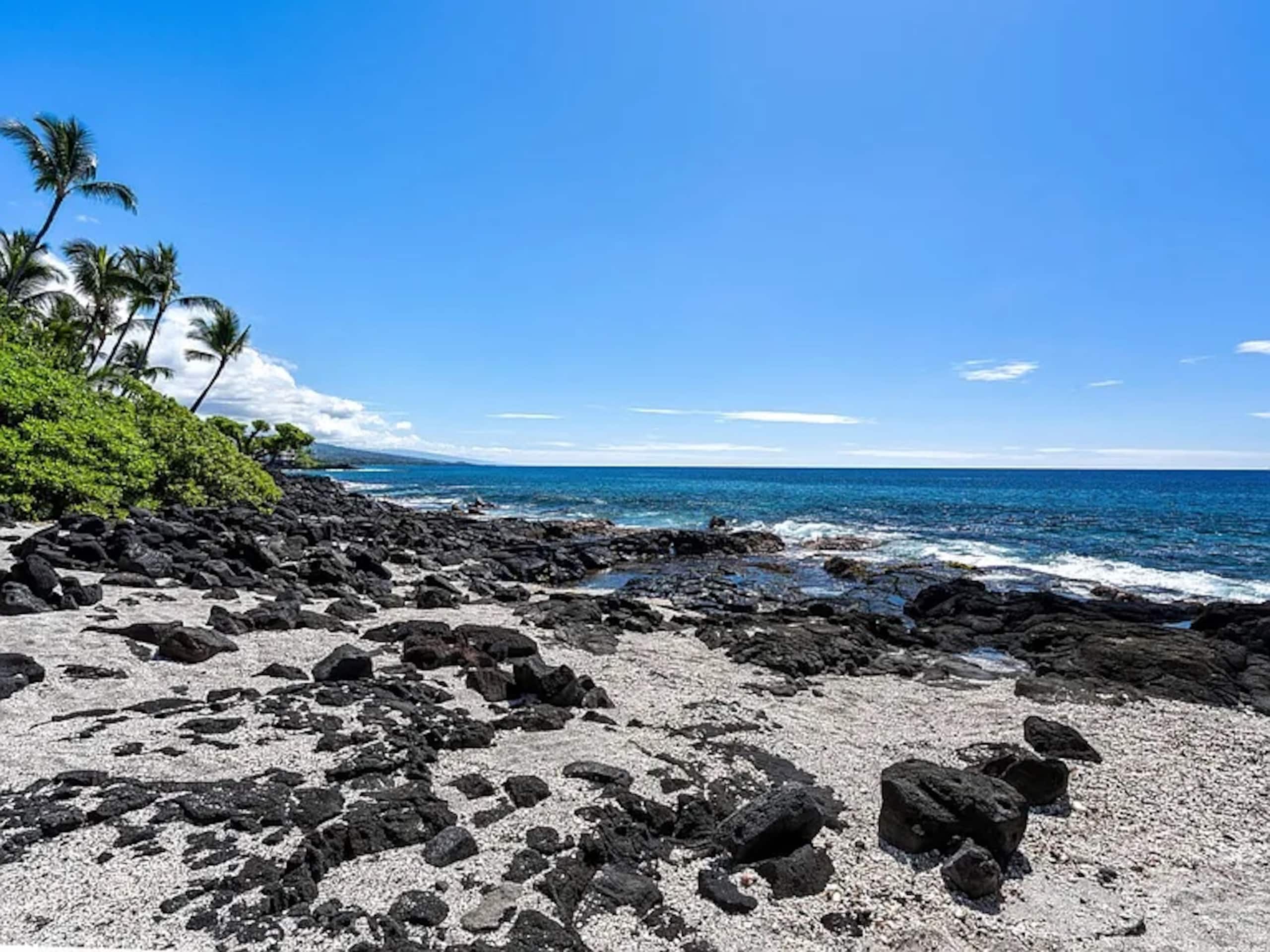 Condo in Kailua-Kona · ★5.0 · 1 bedroom · 2 beds · 1 bath - Image 44