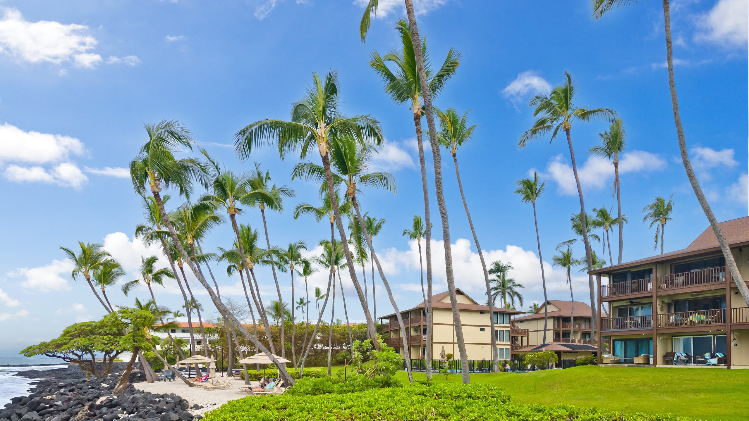 Condo in Kailua-Kona · ★5.0 · 1 bedroom · 2 beds · 1 bath - Image 42