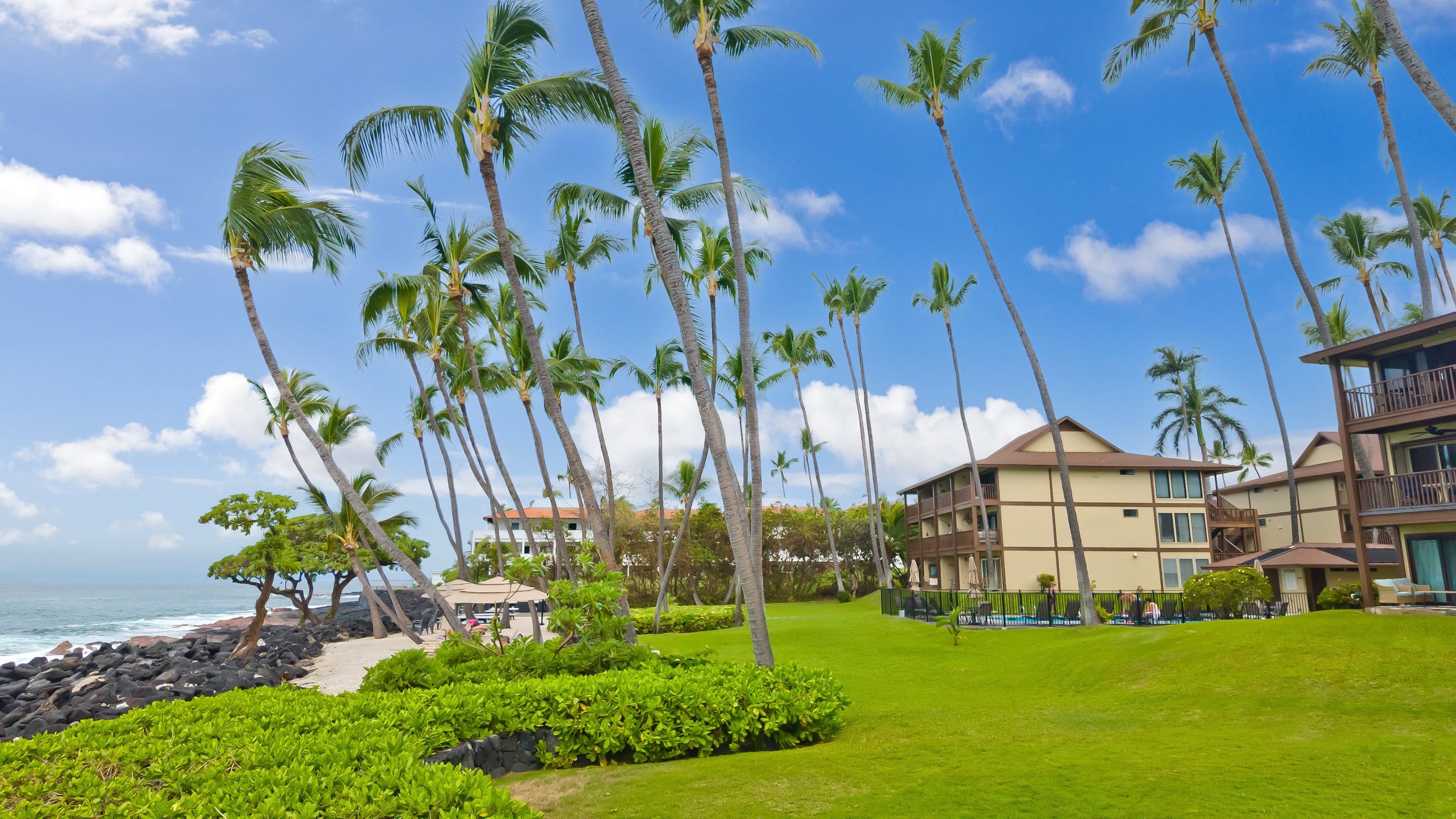 Condo in Kailua-Kona · ★5.0 · 1 bedroom · 2 beds · 1 bath - Image 39