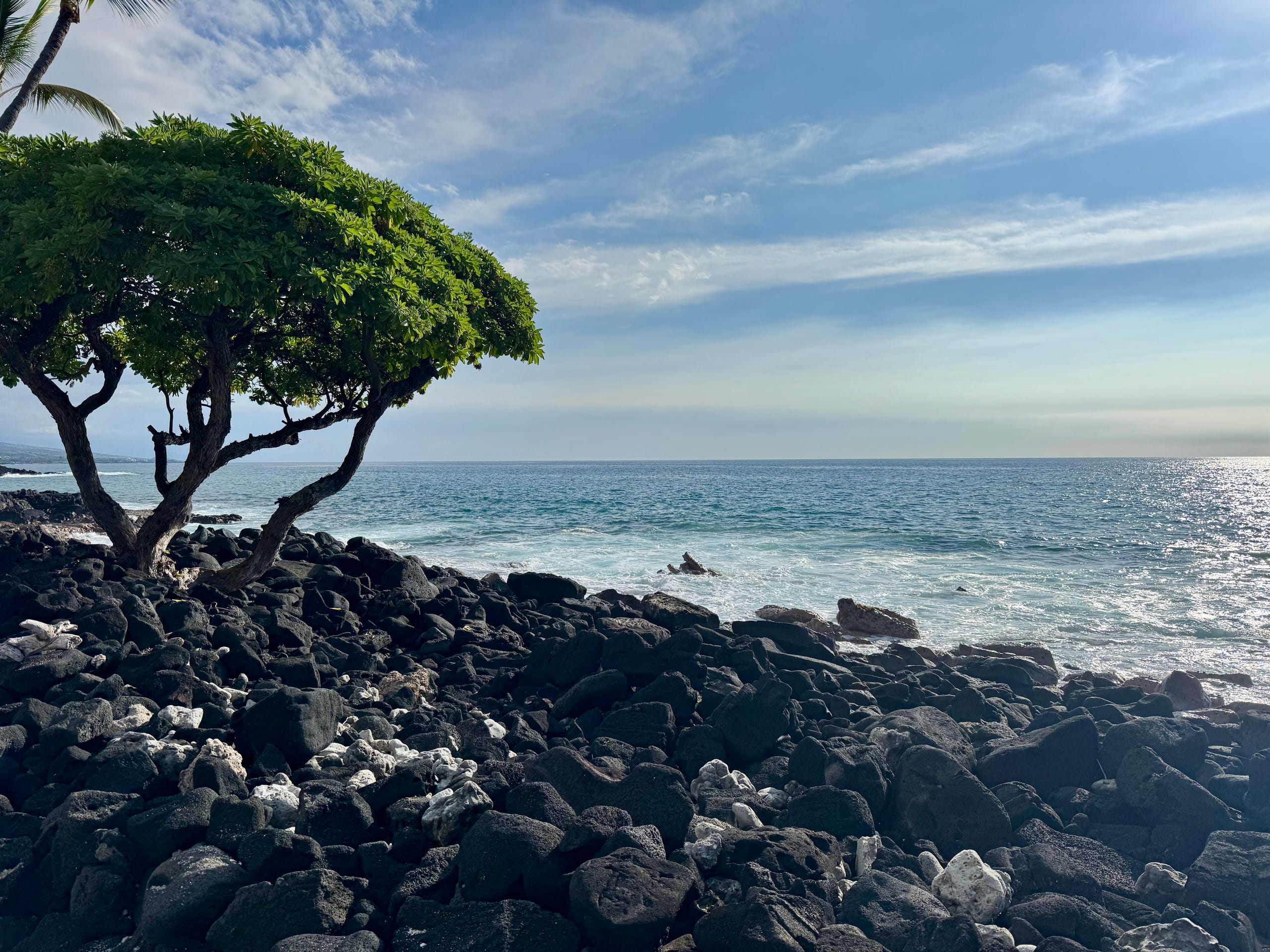 Condo in Kailua-Kona · ★5.0 · 1 bedroom · 2 beds · 1 bath - Image 43
