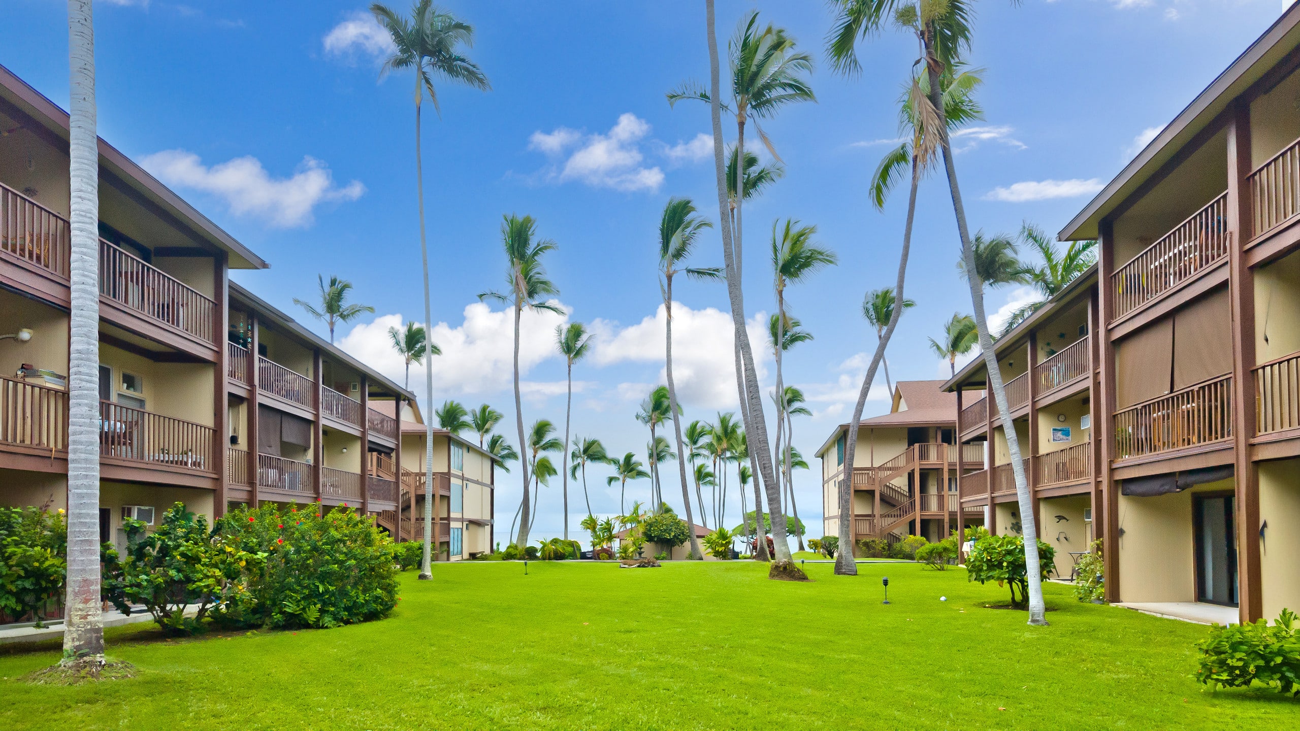 Condo in Kailua-Kona · ★5.0 · 1 bedroom · 2 beds · 1 bath - Image 36