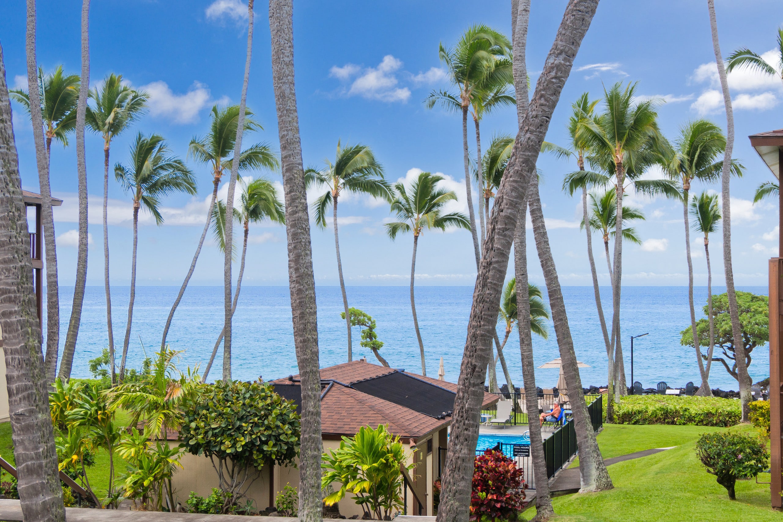 Condo in Kailua-Kona · ★5.0 · 1 bedroom · 2 beds · 1 bath - Image 47