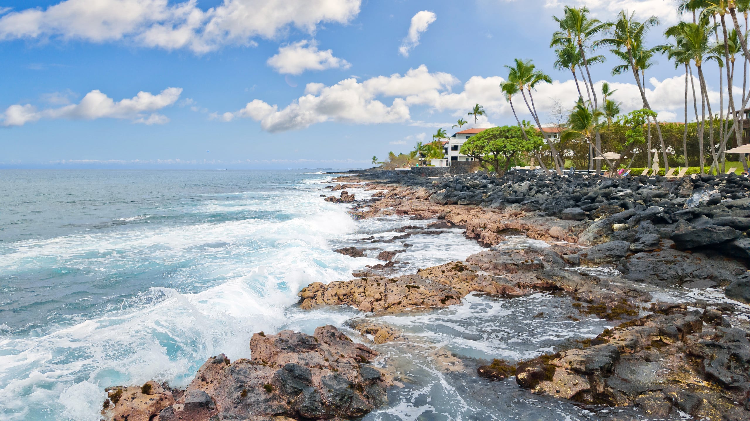 Condo in Kailua-Kona · ★5.0 · 1 bedroom · 2 beds · 1 bath - Image 34