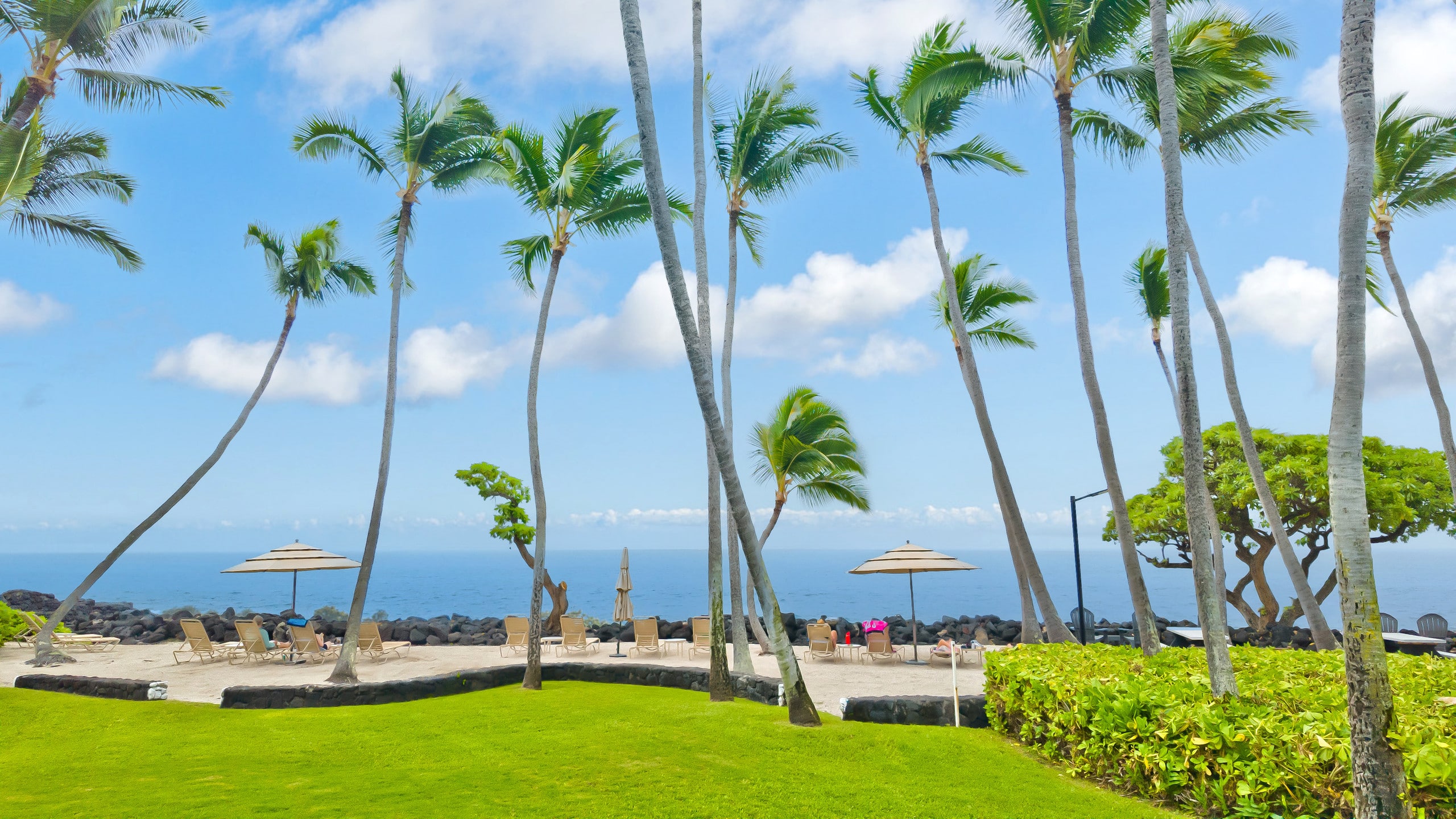 Condo in Kailua-Kona · ★5.0 · 1 bedroom · 2 beds · 1 bath - Image 35