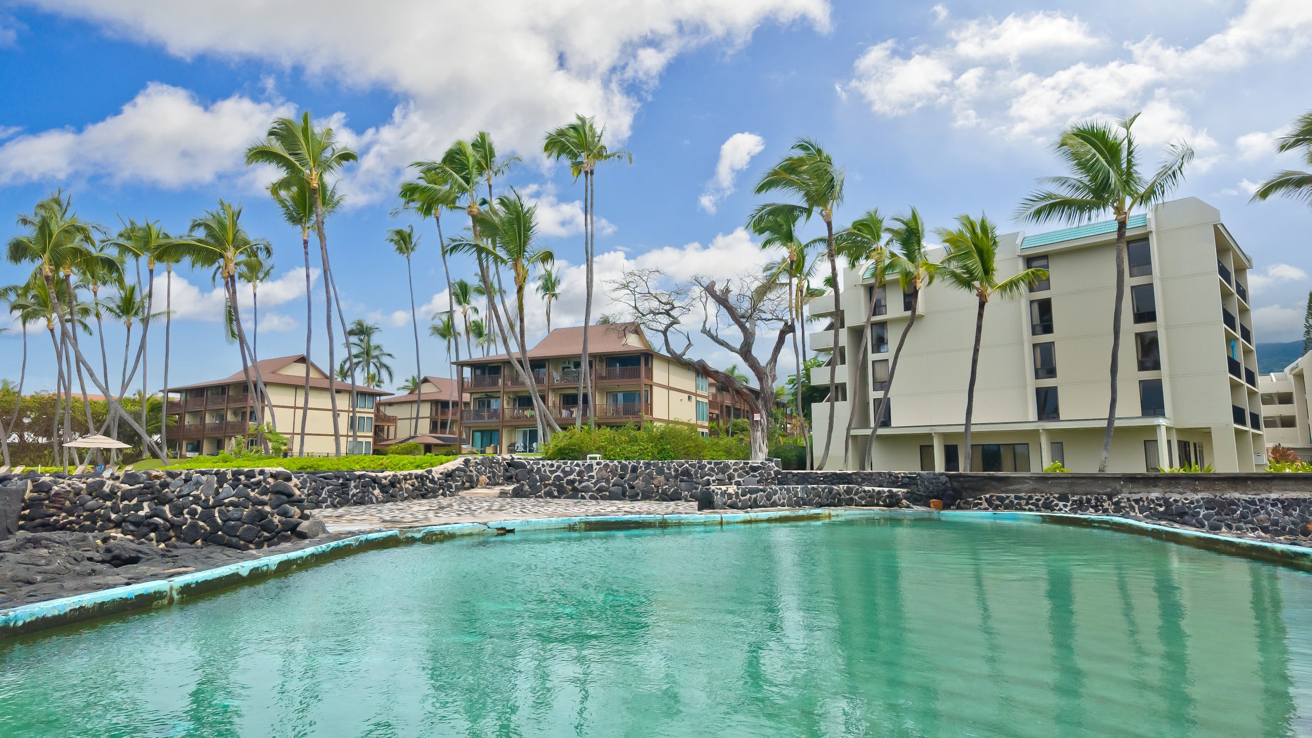 Condo in Kailua-Kona · ★5.0 · 1 bedroom · 2 beds · 1 bath - Image 86