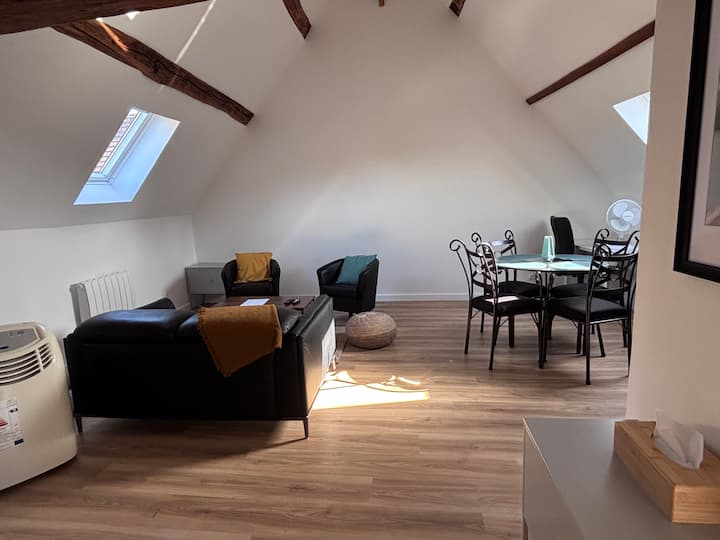 Studio Cosy Cdg / Gare – Parking - Ermenonville