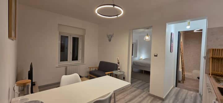 Ola Centre-ville T2 Rénové Cocon Cosy Parking 30m2 - Charleville-Mézières
