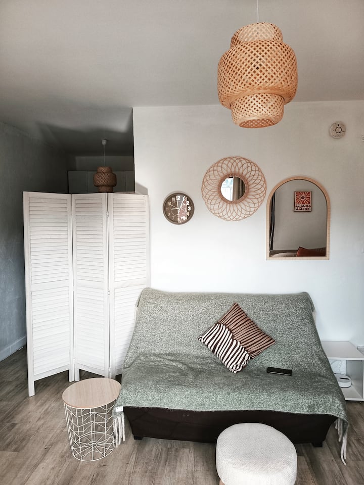 Studio Cosy 29 M² Au Centre De Chambéry - Musée des beaux-arts de Chambéry