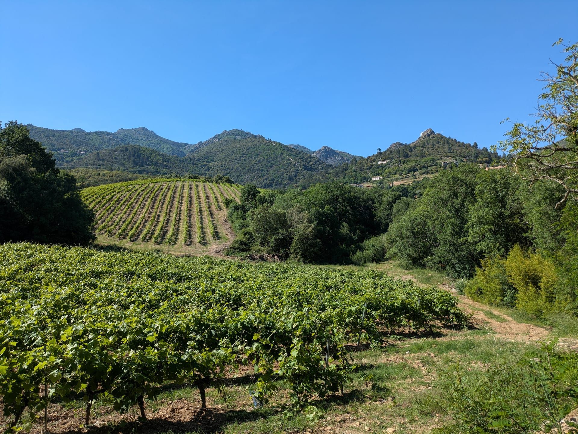 Vue du jardin et de l’environnement naturel du gîte