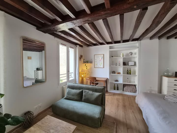 Duplex Cosy Au Cœur Du Centre Historique - Auxerre