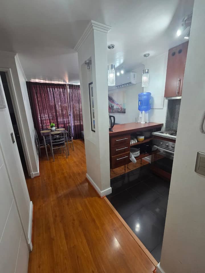 Moderno Depto En Providencia | Metro Manuel Montt - Recoleta