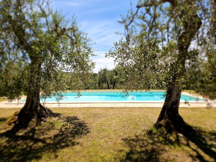 Casetta Glamping "Olivo" Con Idromassaggio - Pontedera