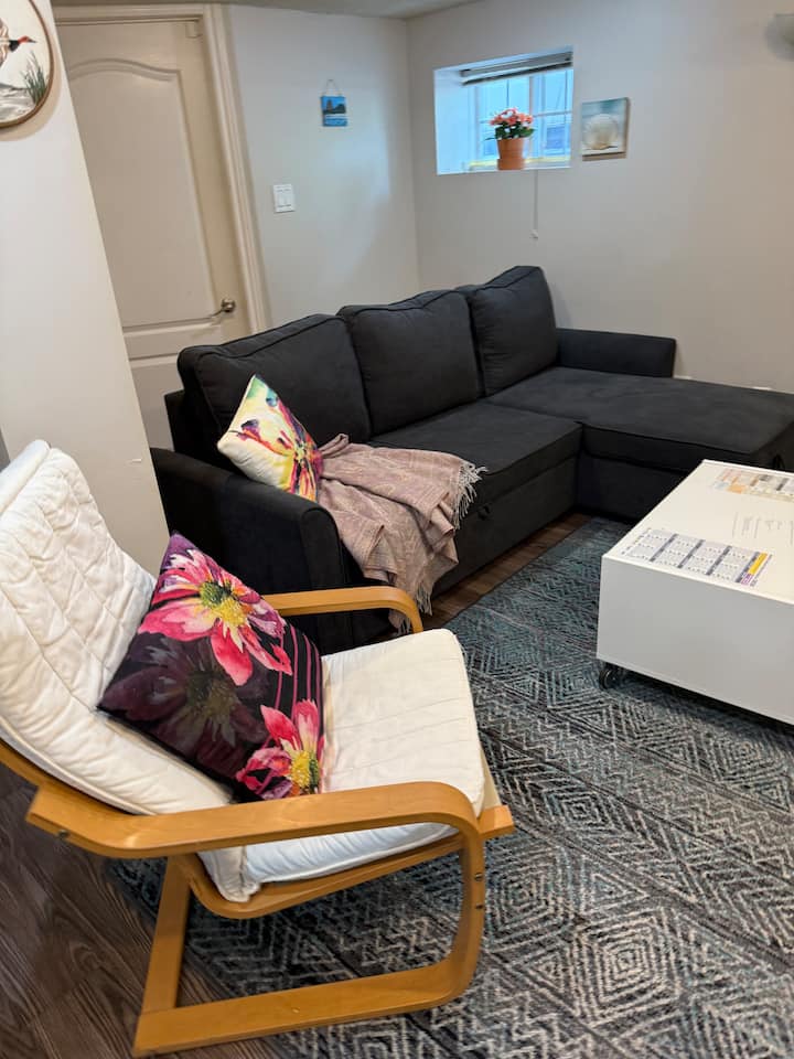 2 Bdrm W/ Wifi And Free Parking In Toronto - Toronto